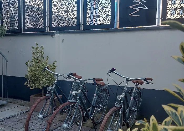 Maison Viktoria Hotel 4*